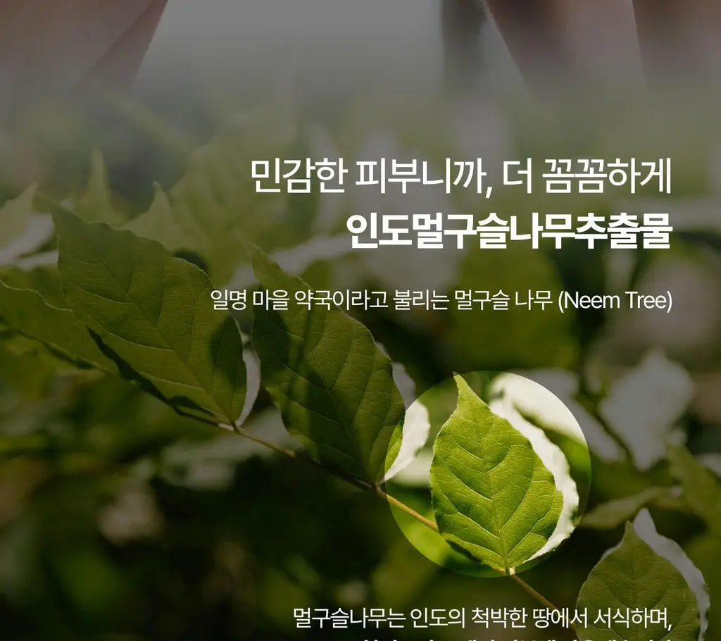 [NEW/이주빈PICK] 티엘라 퍼퓸 너리싱 바디크림 200ml 3종 택 1 상세페이지 37